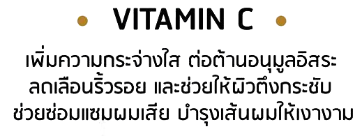 คำโปรย vitamin C