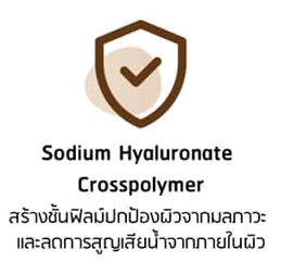 Sodium Hyaluronate crosspolymer พิณนารา