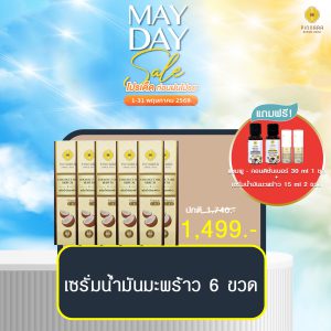 พิณนารา set พิเศษ
