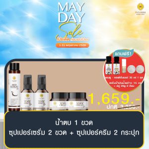 พิณนารา set 40