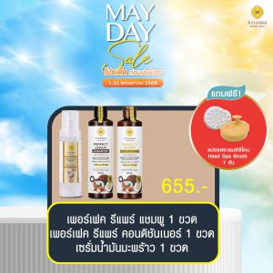 พิณนารา set 41