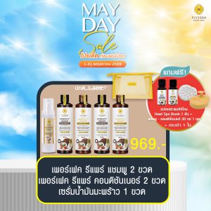 พิณนารา set 43