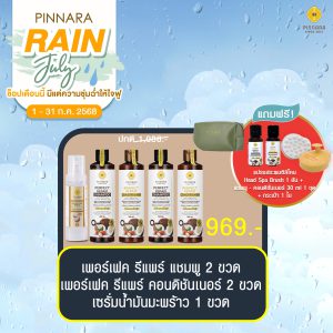 พิณนารา set 43