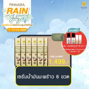พิณนารา set พิเศษ