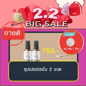 พิณนารา set 24