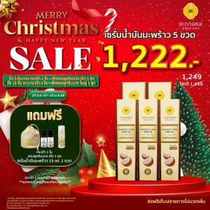 พิณนารา chistmas sale 10