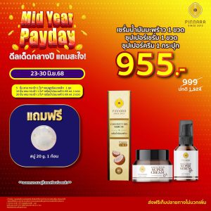 พิณนารา mid year pay day 13