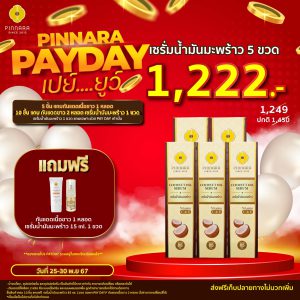 พิณนารา โปร pay day 10