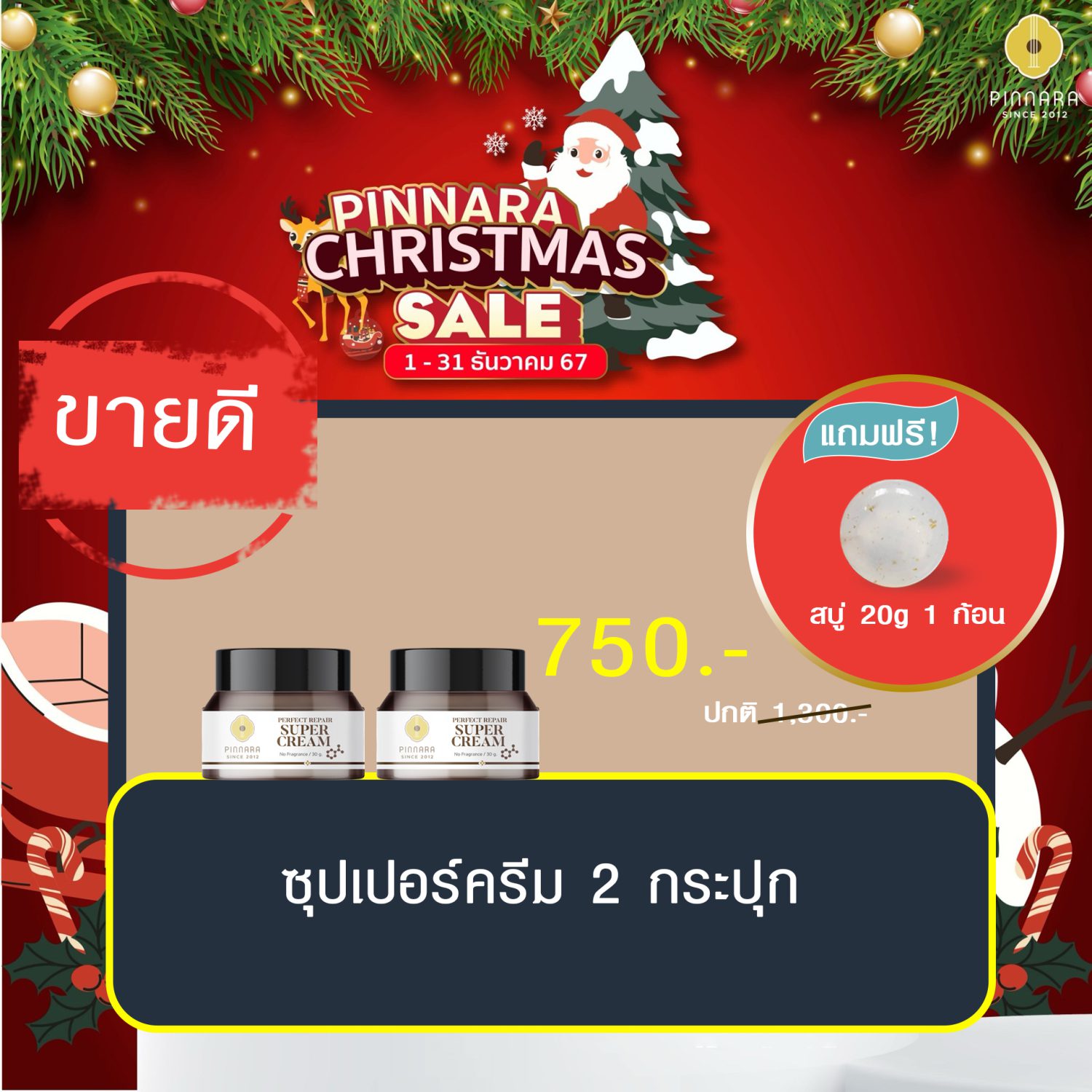 พิณนารา set 25