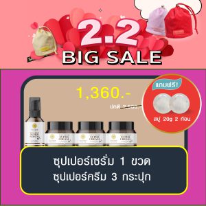 พิณนารา set 27