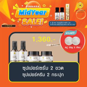 พิณนารา set 271