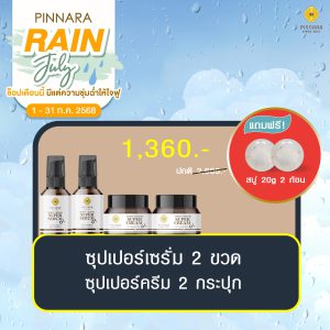 พิณนารา set 271