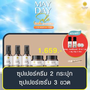 พิณนารา set 282