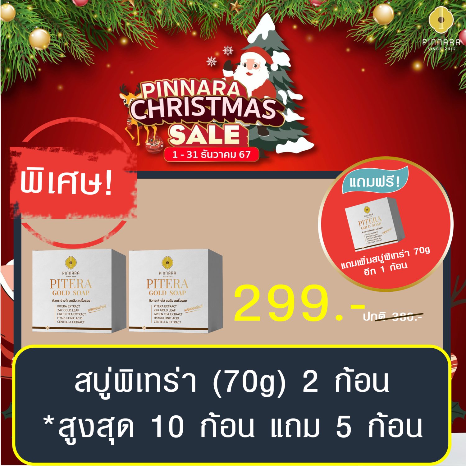 พิณนารา set 29