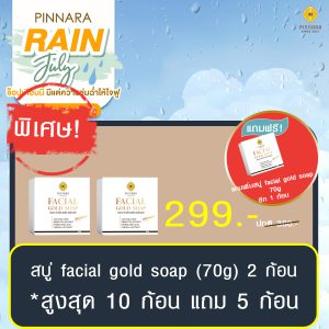 พิณนารา set 29