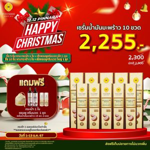 flash sale พิณนารา 12 3