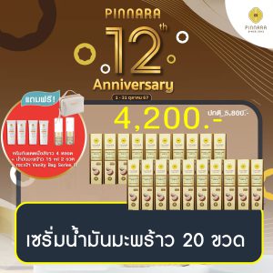 โปรพิณนารา 4200