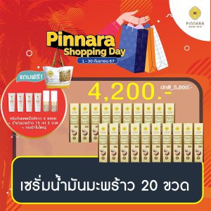 โปรพิณนารา 4200 โปร 99