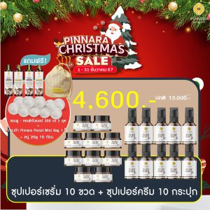 โปรพิณนารา 4600