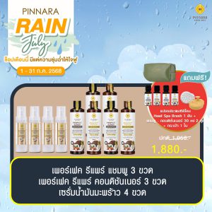 พิณนารา set 46