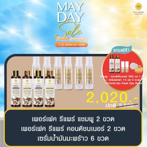 โปรพิณนารา 2020