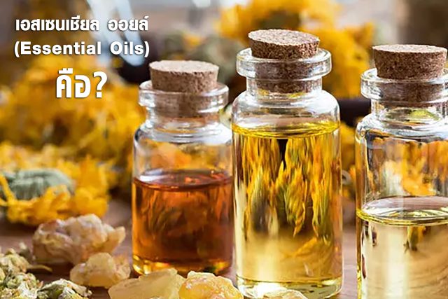 essentialOils ใน พิณนารา