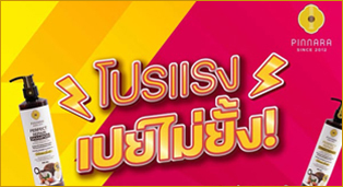 พิณนารา