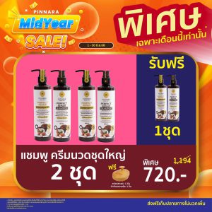 พิณนารา set 52